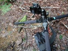 DSCF0624