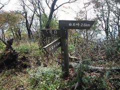 DSCF3817