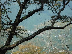 DSCF3822