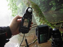 DSCF0622