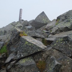 DSCF2963