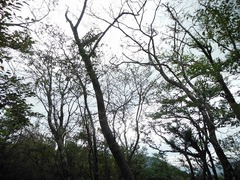 DSCF3832