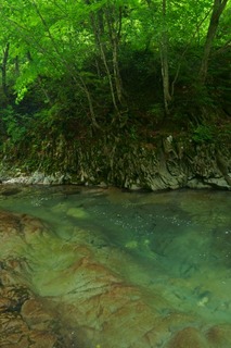 DSC01981