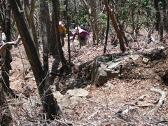 DSCF1668