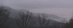 R0108039_2