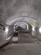 cd843385.JPG