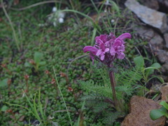 R0012077