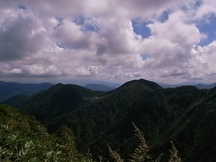 R0108813