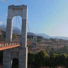 DSCF4535