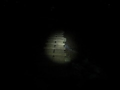 DSCF4630