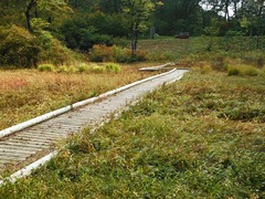 DSCF5657