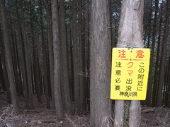 R0010290