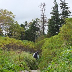 DSCF3084