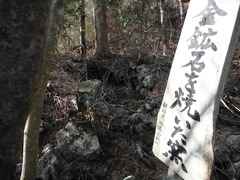 DSCF1763