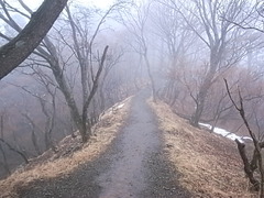 R0108062
