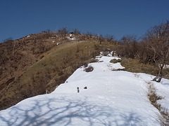 R0010785