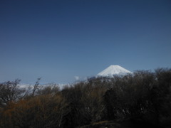 DSCF2029