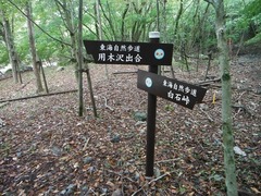 DSCF3850