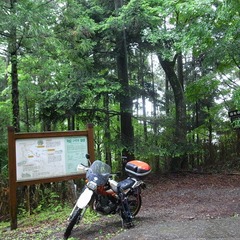 R0109612