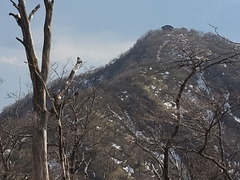 R0010646