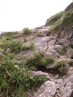 R0108831