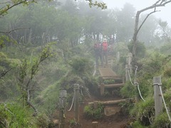 DSCF5131