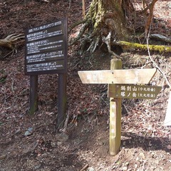 DSCF4981
