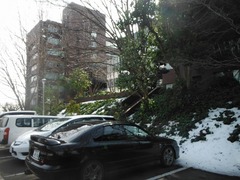 DSCF4426