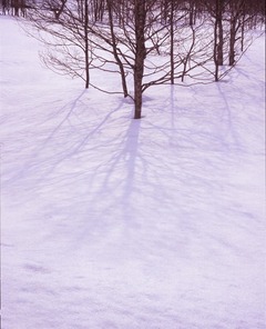 裏磐梯湖畔 雪の影 1段オーバー