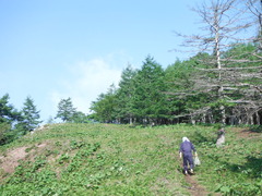 DSCF2581