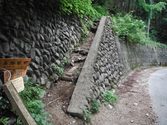 DSCF2619