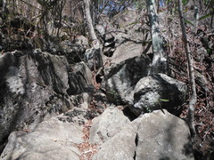 DSCF1653