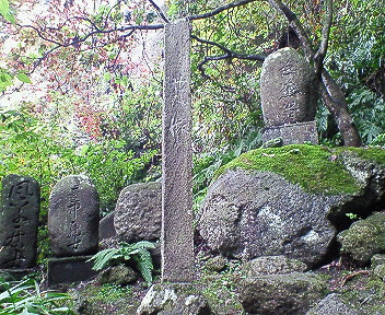 372d3a3b.jpg