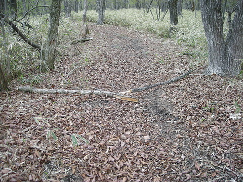 Photo0215