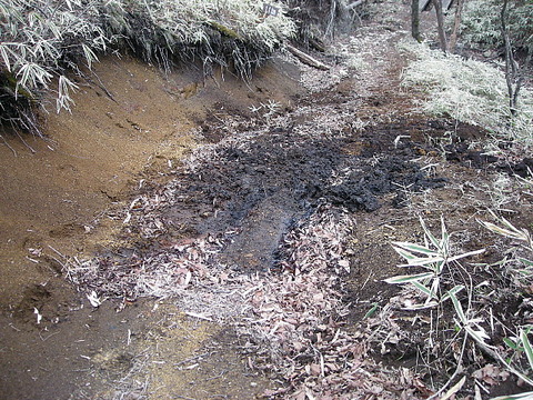 Photo0020