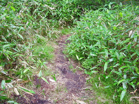 Photo0027