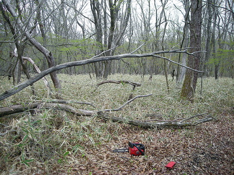 Photo0216