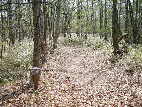 Photo0160
