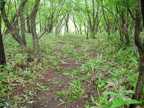 Photo0012