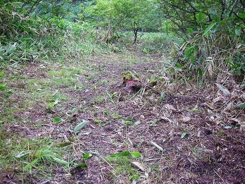Photo0026