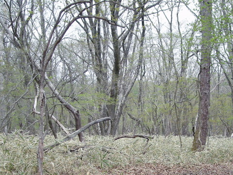 Photo0267