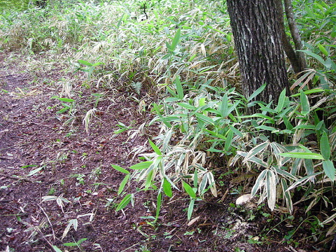 Photo0018