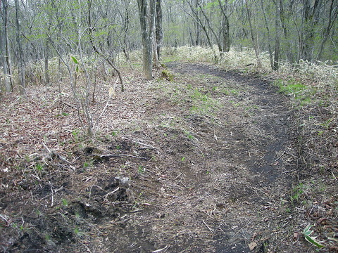 Photo0195