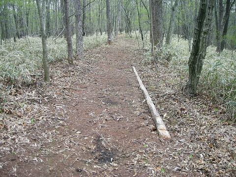 Photo0187
