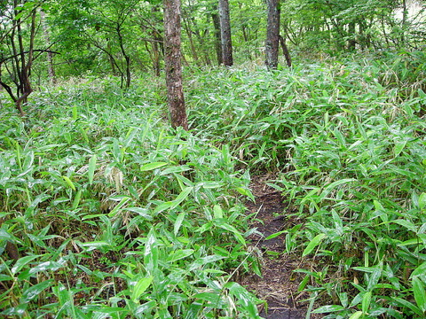 Photo0029