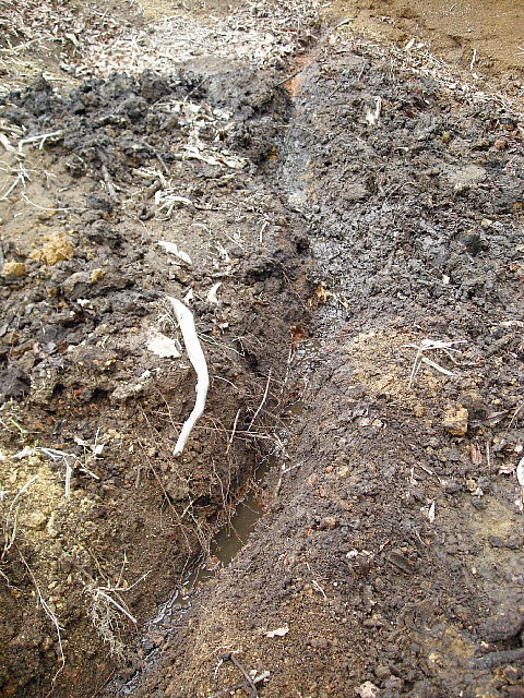 Photo0022