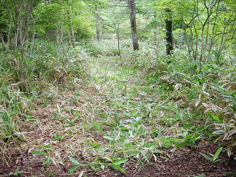 Photo0019
