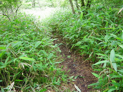 Photo0021