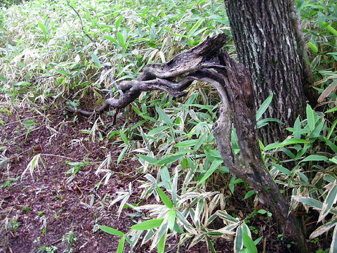 Photo0017