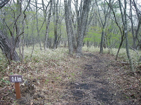 Photo0222